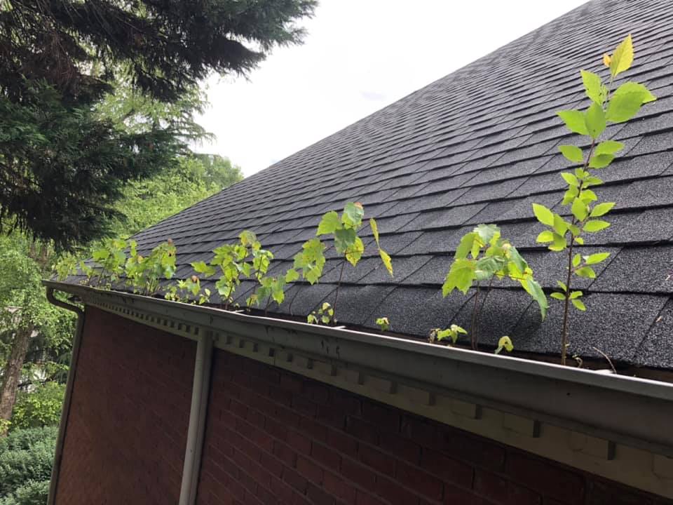 Old clogged gutter before replacement